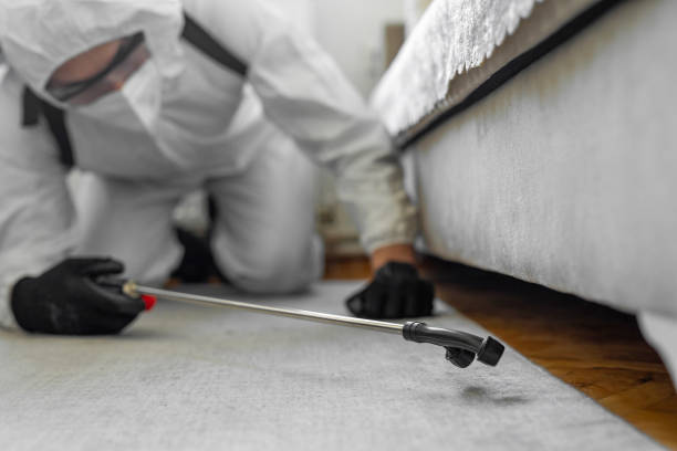 Professional Bed Bug Control technician working in Hampton County County, SC